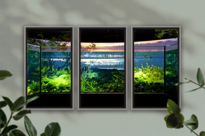 Vwy8BZzCzNkCrFDhqhRv.jpg?w=940&h=940