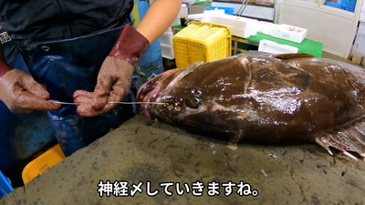 VxS0hSnHcYxVPomhcD9d.jpg?w=940&h=940