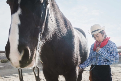 VyUeIV9TCUVDCZ3AReNU.jpg?w=940&h=940