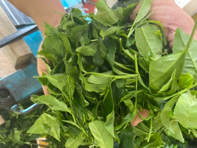 VyfxY6smKmz33DK0UXNi.jpg?w=940&h=940