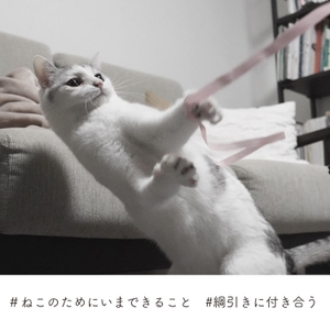 Vz9v6Tk8cj1WGf4lLUVd.jpg?w=940&h=940