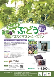 岡山のぶどうが定期的に自宅に届く 「ぶどうサブスクリプション・プラン」を4/3より販売開始