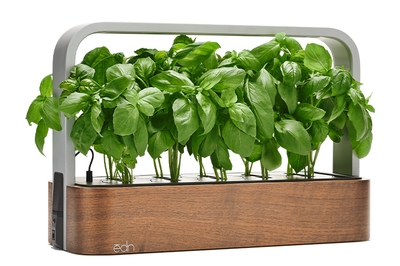 W0KWRTeUKzeXyjO2gzBF.jpg?w=940&h=940