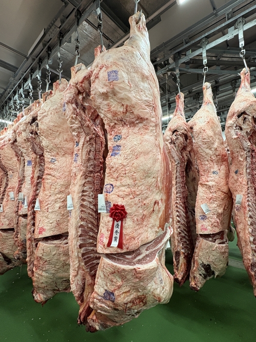 優秀賞を獲得した岩手パイオニア牧場の出品牛