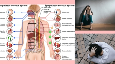 W1lylEeLwAIN4lazFjwd.jpg?w=940&h=940