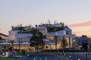 W3WJlTFRQCkmbw1AN43S.jpg?w=940&h=940