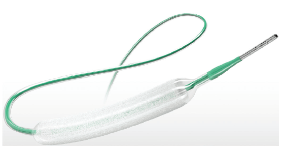 薬剤溶出性バルーンの世界市場調査：製品別需要分析と成長予測2026-2032