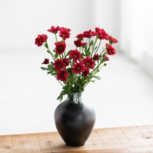 W48I3omRAWIlKcnQX2zA.jpg?w=940&h=940