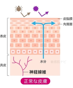 W4HT6F0ZcQoEnI87jytW.jpg?w=940&h=940