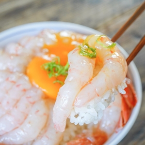 W4gOQ9ZHqso4DJST3IB6.jpg?w=940&h=940