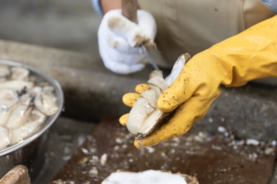 W6dx4QBhimBq1hT3eCVD.jpg?w=940&h=940