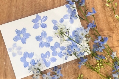 W6lhlD31uHQyVahb45Pp.JPG?w=940&h=940