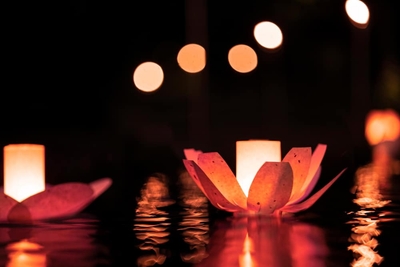 W6tLQ2kIWhp5AtHvd6aV.jpg?w=940&h=940