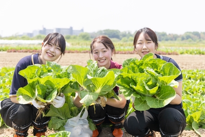 W7KP7FGubGWhpsrYgYcx.jpg?w=940&h=940