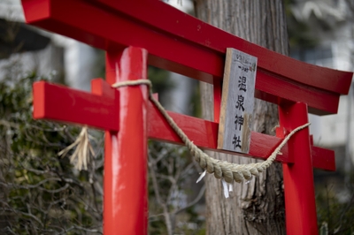 W7rSsL8StVCFHobsdtmI.jpg?w=940&h=940