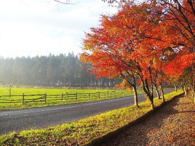 W8H3OWlvCLc0GbBblXPS.jpeg?w=940&h=940