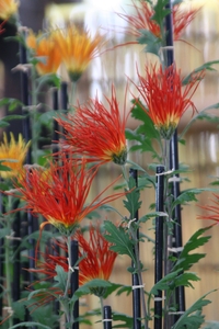 W9LIsbFfwhdRfgcWtEFq.jpg?w=940&h=940