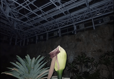 W9gz1hgihWfFLyHYW4s2.png?w=940&h=940