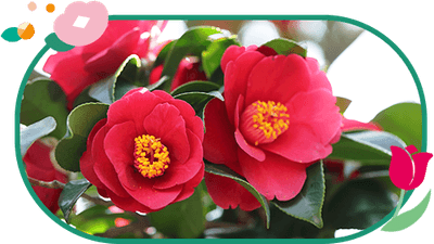 WBBa5eD58StTudg7YhV9.png?w=940&h=940