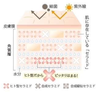 WBZm8v3OXFVP4QeIer4B.jpg?w=940&h=940