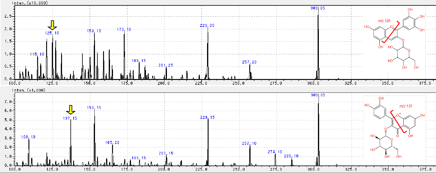 図2.アントシアニン(上:delphinidin-3-glucoside)とフラボノール(下:quercetin 3-glucoside)のMS/MSスペクトル。黄矢印で示すプロダクトイオンが、各化合物に特異的に検出された。