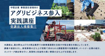 WDJJD9RF4KA2TSkxxFoC.png?w=940&h=940