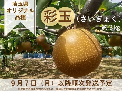 ～ 彩玉（さいぎょく）“埼玉県オリジナル品種“　約３ｋｇ～９月７日以降順次出荷予定～