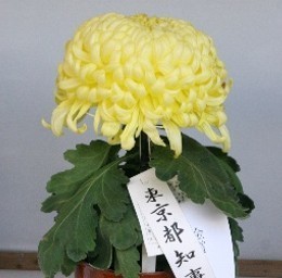 福助作り