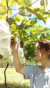 ワイズ・ヴィンヤーズ山崎氏