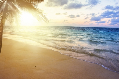 WDgNtoga2L1rEk30vQuF.jpg?w=940&h=940