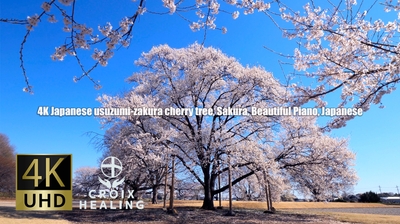 WEUvFV8R4Vxipru0nF7V.jpg?w=940&h=940