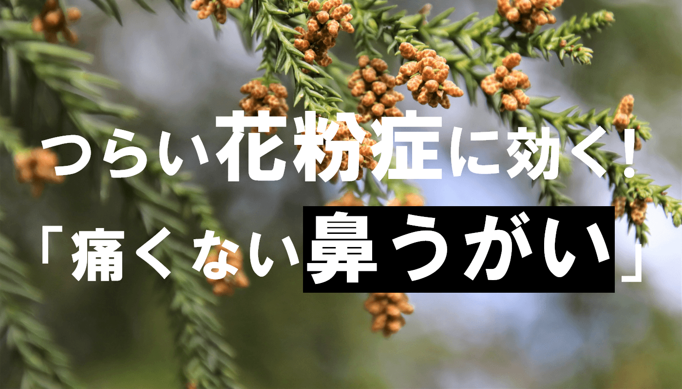 つらい花粉症に効く！「痛くない鼻うがい」