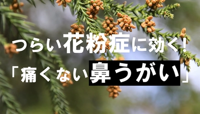 つらい花粉症に効く！「痛くない鼻うがい」