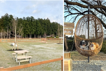 愛犬と楽しむ「那須千本松牧場」 ドッグランが春のリニューアル！