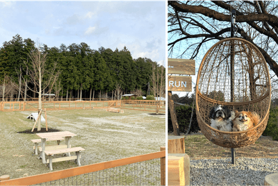 WJK0DefRLF9vWBxvizfX.png?w=940&h=940