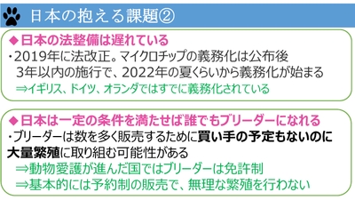 WJZMvd4812jMaAIohGjW.jpg?w=940&h=940