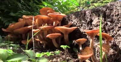 WKJpxzG3H2iAUIFXkRKQ.jpg?w=940&h=940