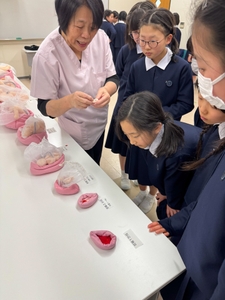 WLXW8SRvKts76KwayzQh.jpg?w=940&h=940