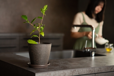 WLkf7VeeONPiMW6j3FVd.jpg?w=940&h=940