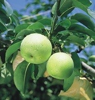 WMJ3Ow0kXeuCaJdcO9IZ.jpg?w=940&h=940