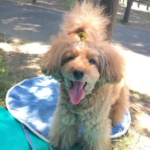 WMVi5WZLb1s6FDQXbosr.jpg?w=940&h=940