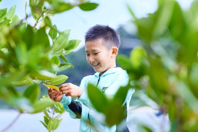 WNlQLAjBM0dOcPJXfKlh.jpg?w=940&h=940