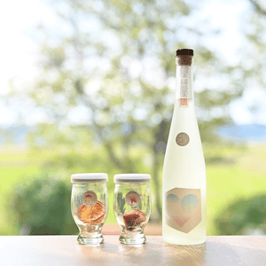 WO1VpdDJ3lDbYR0w24DY.png?w=940&h=940