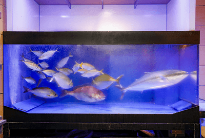 WOy2PsEosz1ICF6Ltqfi.png?w=940&h=940