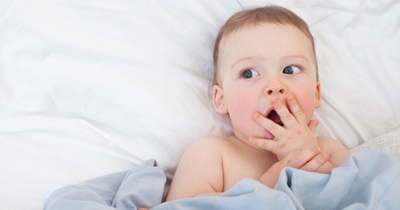 WPIr3auyUjPmdhY95ad9.jpg?w=940&h=940