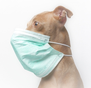 WPOOXtz8vrEB0IX9mAY7.jpeg?w=940&h=940