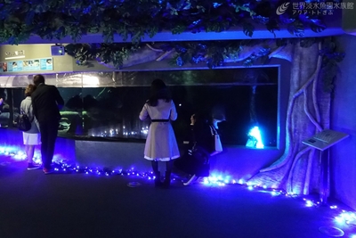 WQ0TCrtWnDXkYBDmcYkk.jpg?w=940&h=940