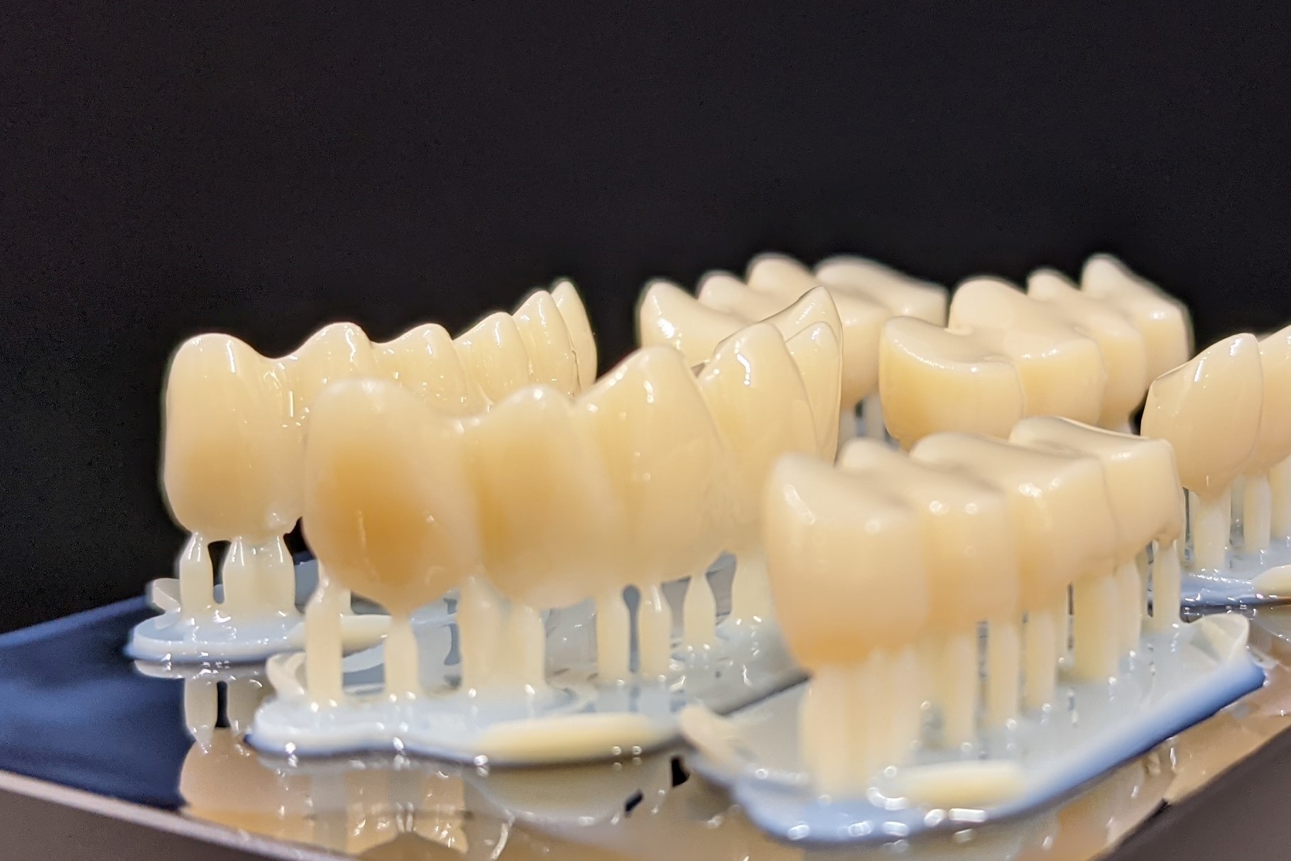 8. 複製された歯