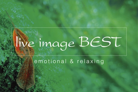 7年ぶりに復活する「ライブイマージュ・コンサート」に、 REAL TRAUM、Budo、石井琢磨がオープニングアクトとして出演決定！