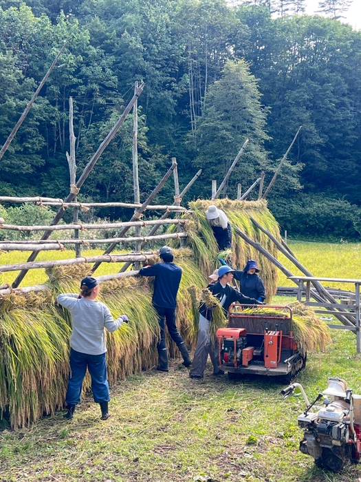 はさがけの様子(3)